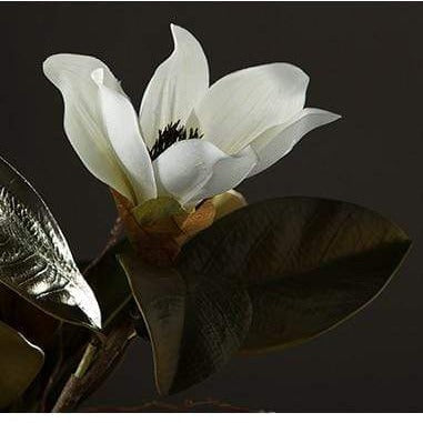 Magnolia Blomma Dekoration För Hemmet Naturlig Design 5