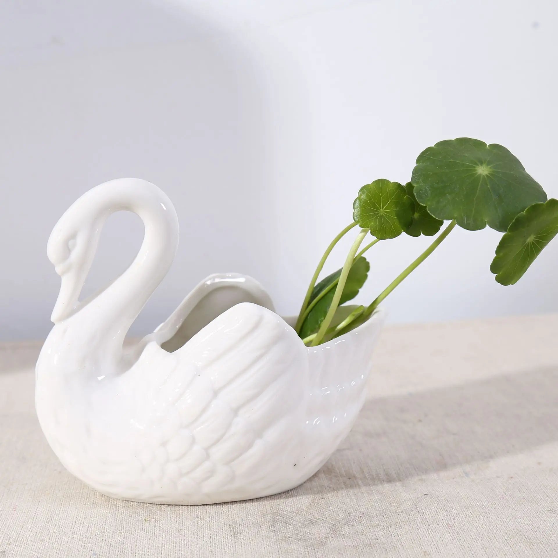 Minimalistisk Svanformad Kruka för Hemmet 4