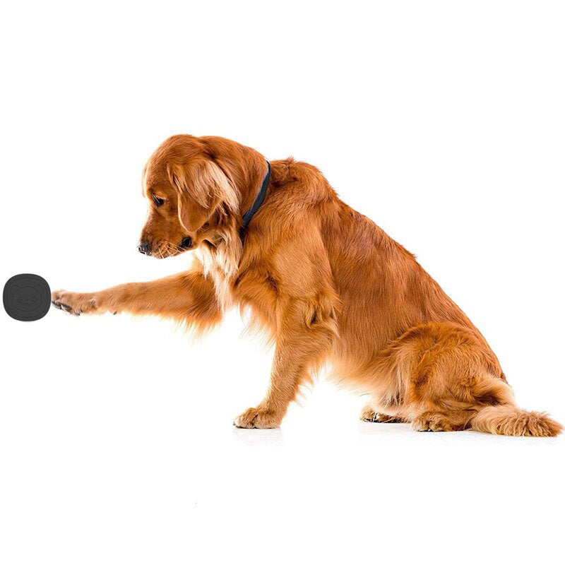 Trådlös dörrklocka för djur