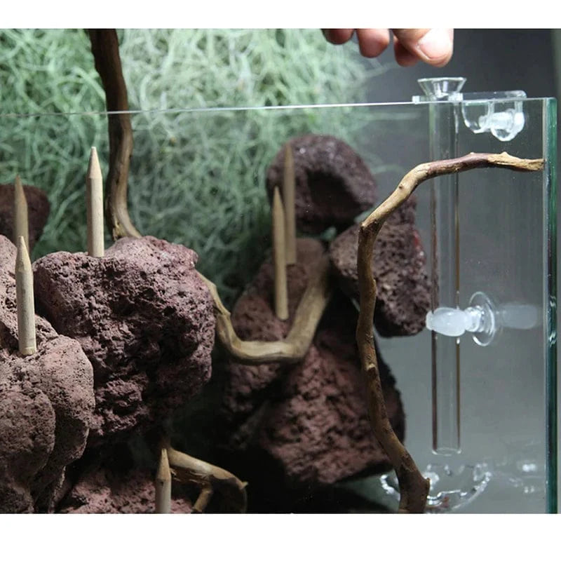 Räkmatskål För Akvarium Praktisk Design 4