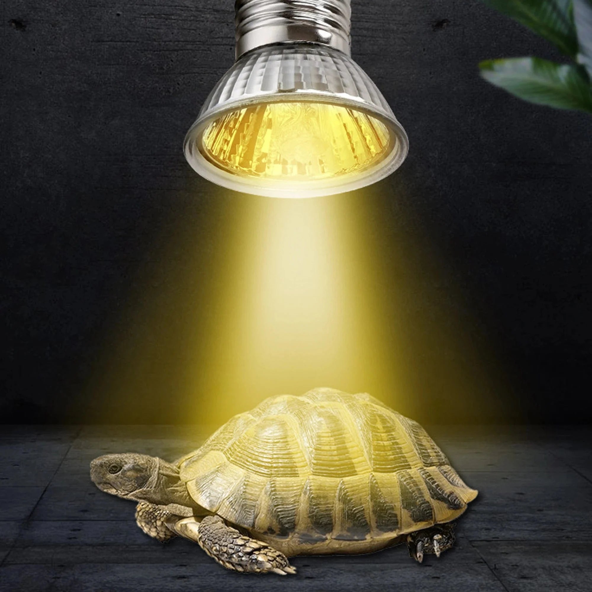 Reptil UVA+UVB-lampa för Husdjur Värmelampa 5