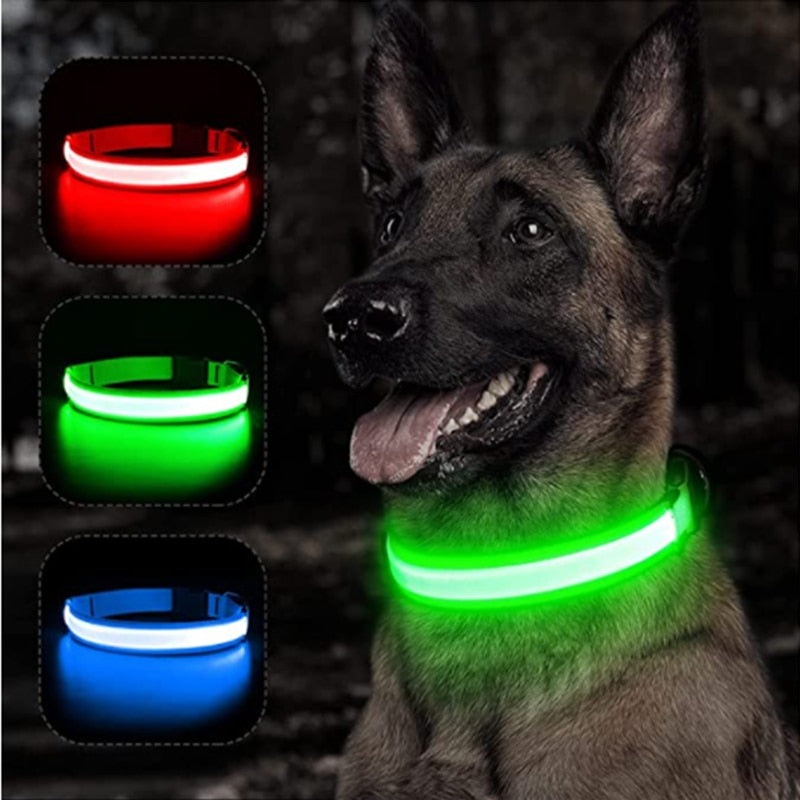 Glödande Hundkoppel