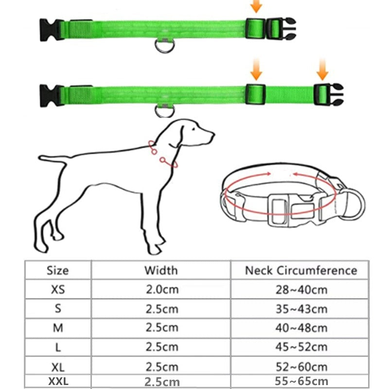 Glödande Hundkoppel