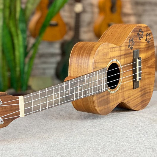 Ukulele 23-tums Exotisk Koa för Kvinnor och Män 2