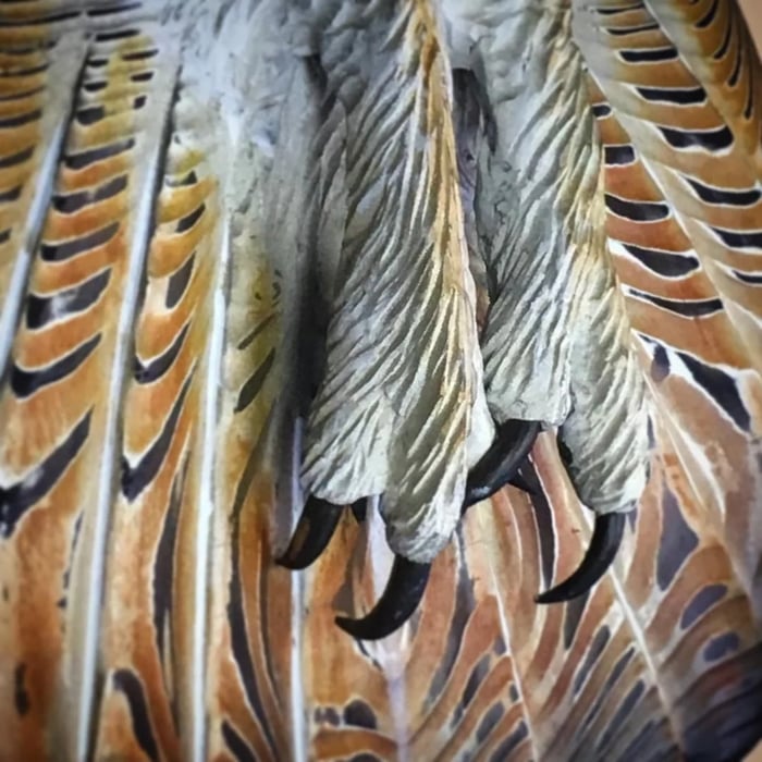 Väggdekoration Uggla Majestic 7