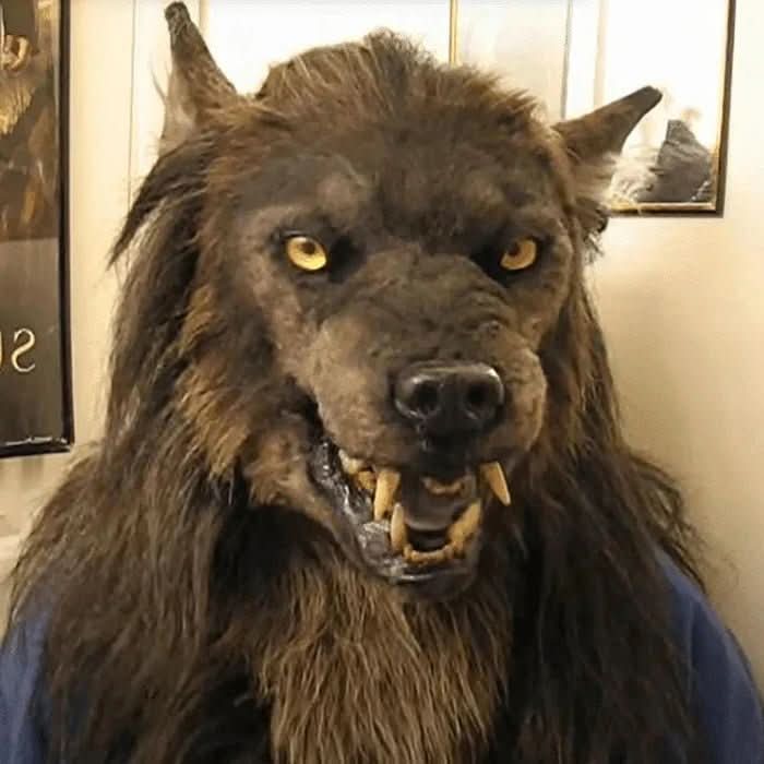 Varulvsmask för Halloween och Cosplay 2