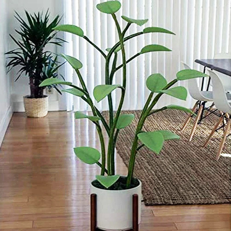 Växtlampa LED Med Färgskiftande Belysning För Hemmet 5