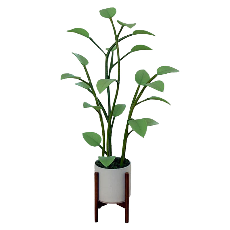 Växtlampa LED Med Färgskiftande Belysning För Hemmet 7