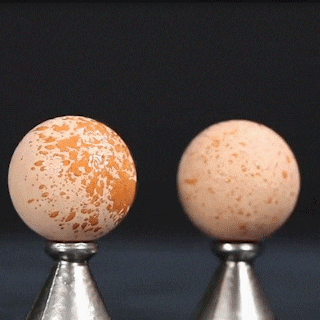 Absorberande roller för vulkanisk olja