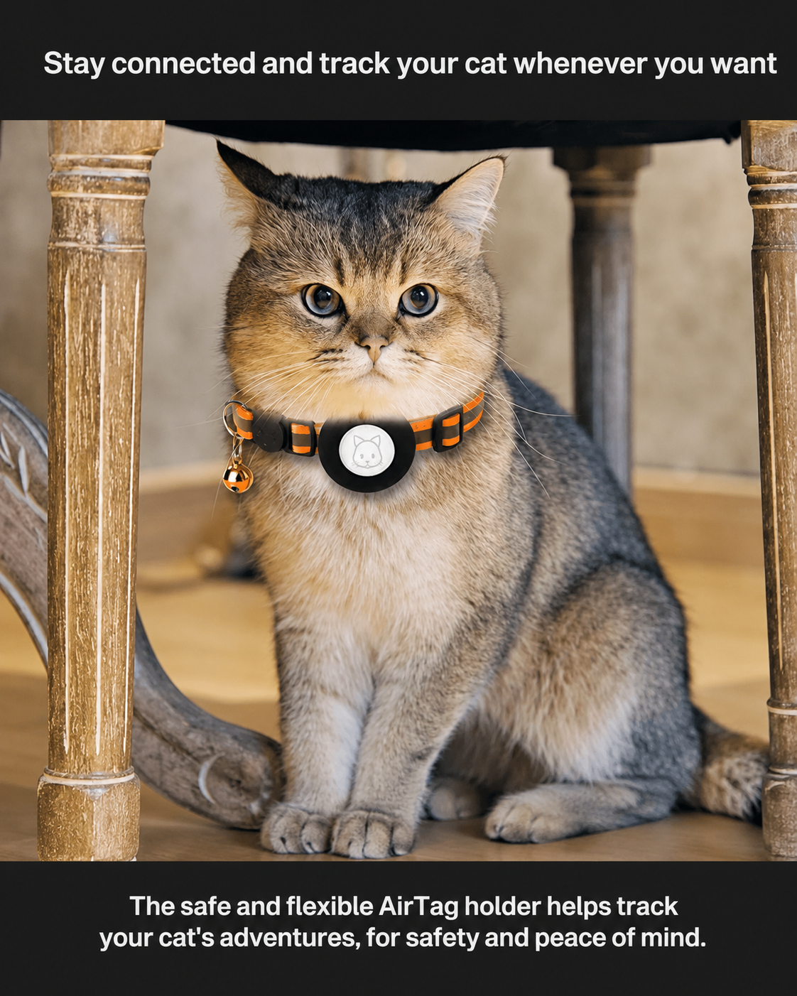 Katt GPS Tracker Halsband med Reflekterande Design
