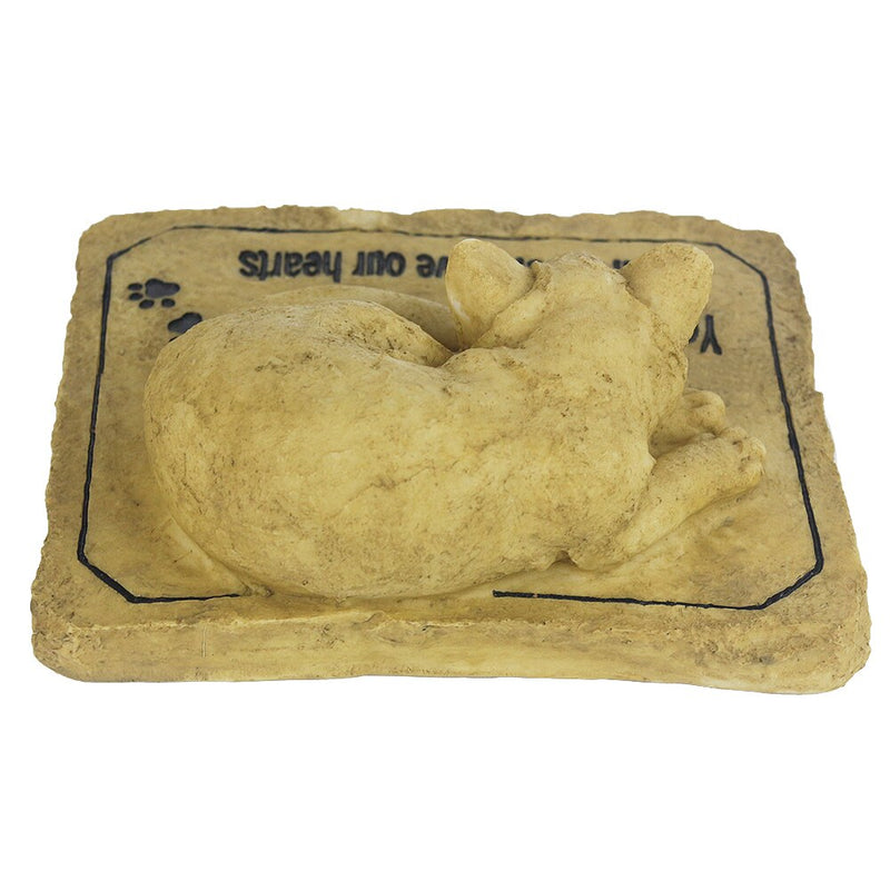 3D katt minnessten