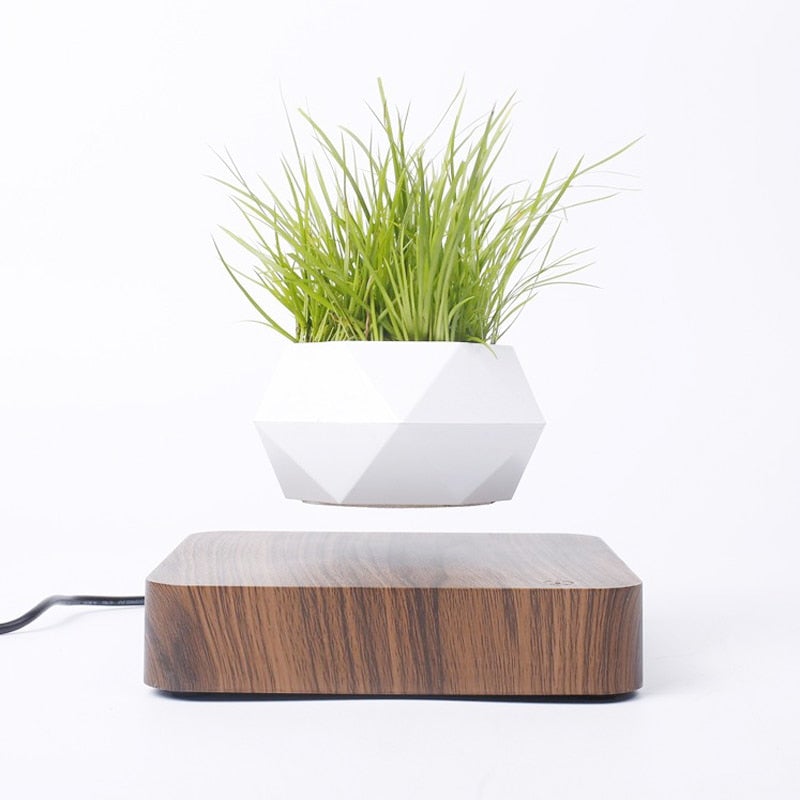 Svävande Luft Bonsai Pot