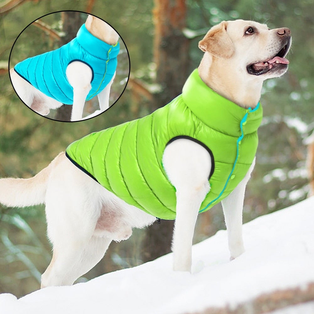 Vändbar Hund Puffer Coat