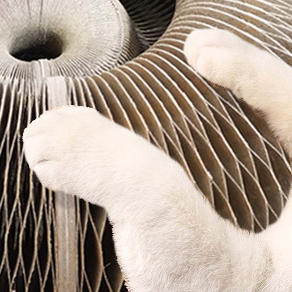 Katt skrapa bräda leksak