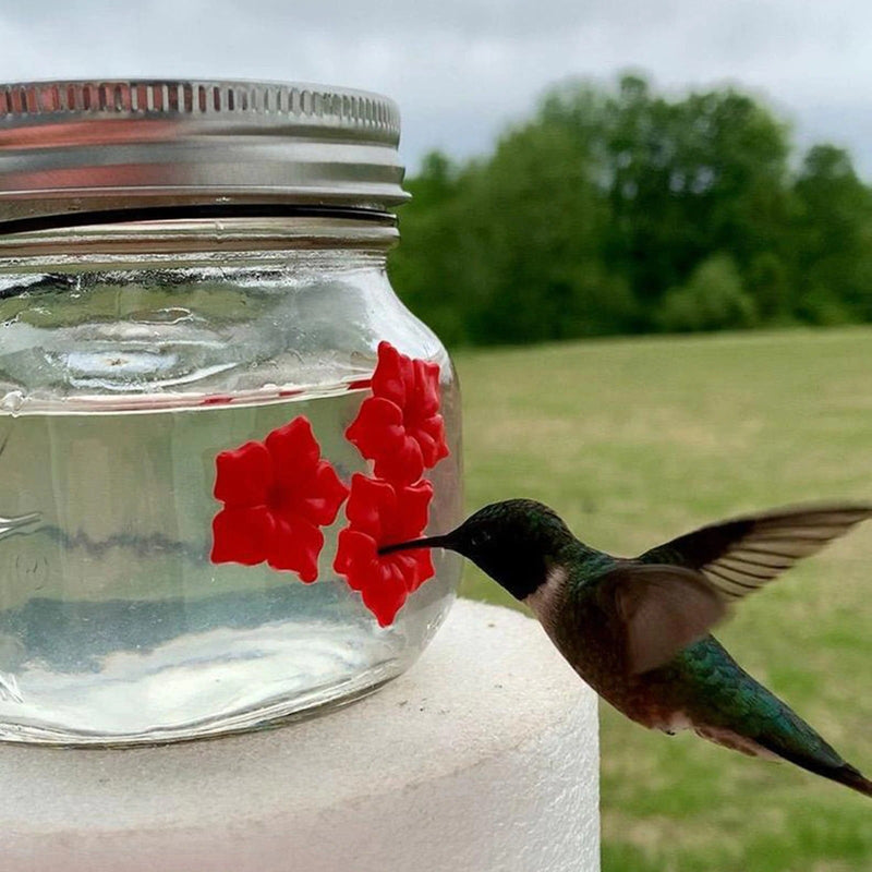 Kolibri Feeder Jar med portar blomma