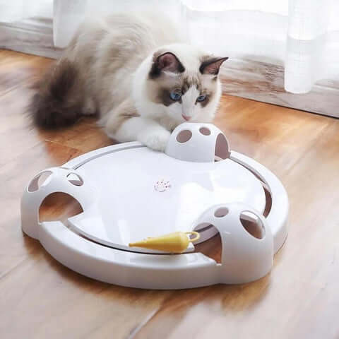 Pounce kattleksak