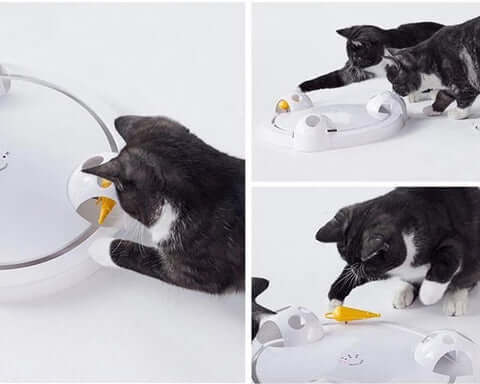 Pounce kattleksak