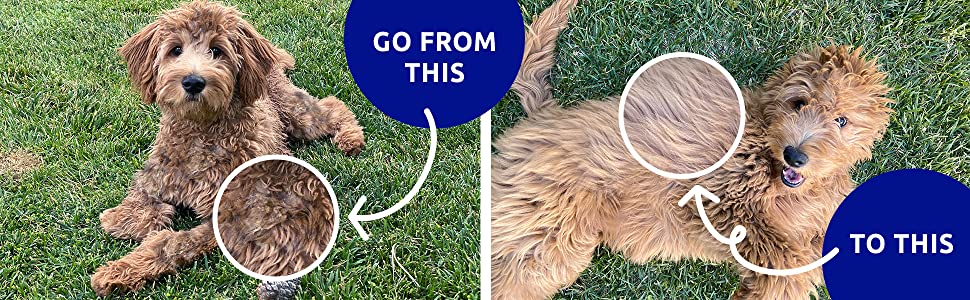 Dubbelsidig borste för trimning av sällskapsdjur