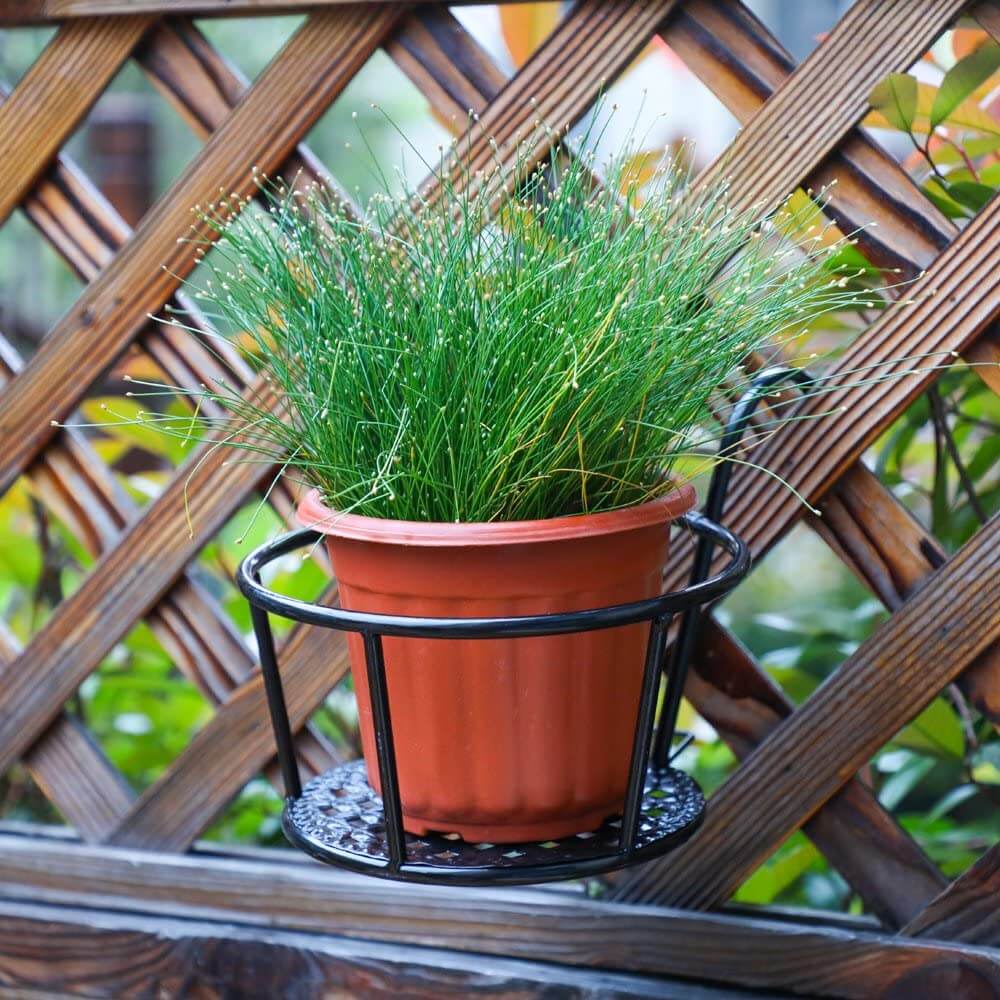 Järn Konst Hängande Korg