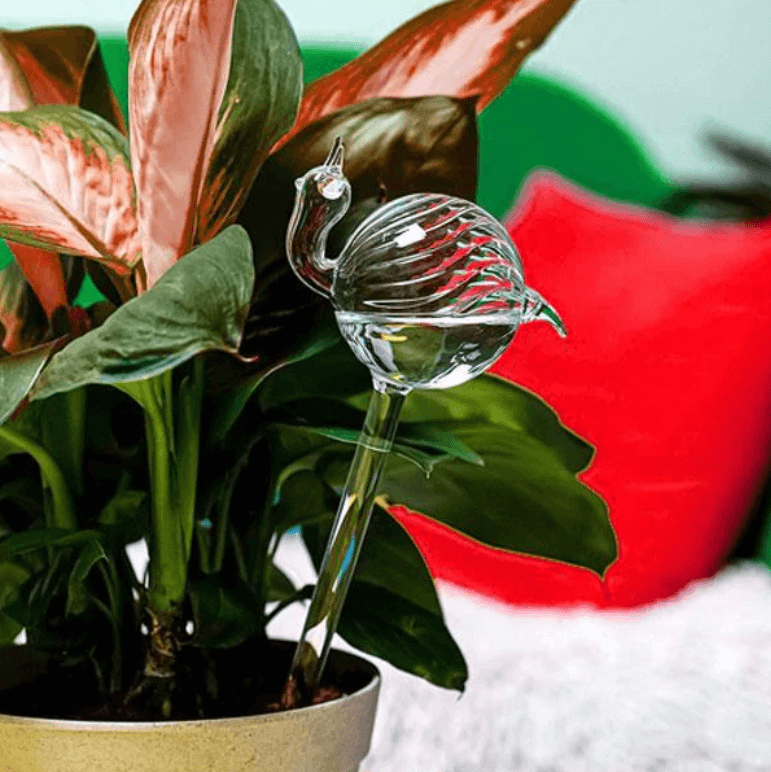 Självvvattnande växtlök